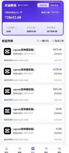 2025风口TK剪映capcut拉新项目，极限高客单，市场空白，2025下半年真正的蓝海项目-虚拟资源库