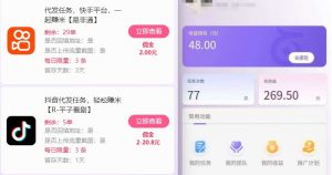 新手副业首选!视频代发接单,领任务发视频,长期稳定不费劲儿-虚拟资源库