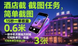 酒店截图任务,简单截图,15秒一单收益0.6米,一部手机不限地方时间,可矩阵单日收益3张【揭秘】-虚拟资源库