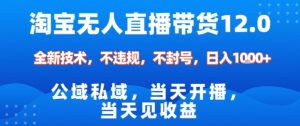 淘宝无人直播12.0,公域私域技术,不封号,不违规布局双十一流量风口,日入1k(独家技术)【揭秘】-虚拟资源库