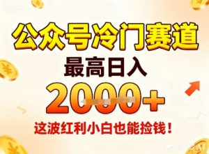 公众号冷门赛道,最高日入1k+,这波红利小白也能捡钱!-虚拟资源库