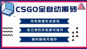 CSGO全自动搬砖，年底钱回家好项目，当天可拿到结果，新手小白轻松月入1W+【揭秘】-虚拟资源库