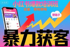 小红书爆款培训班，小红书获客野路子流量打法，暴力持续获客-虚拟资源库