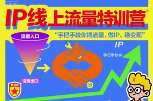 IP线上流量特训营，手把手教你搞流量、做IP、稳变现-虚拟资源库