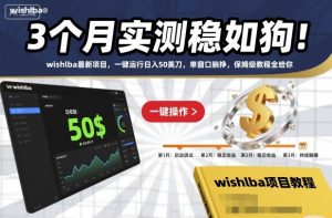 3个月实测稳如狗!wishlba最新项目,一键运行日入50美刀,单窗口躺挣,保姆级教程全给你【揭秘】-虚拟资源库