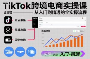 TikTok跨境电商实操课，从入门到精通的全实操流程-虚拟资源库