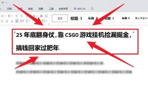 25年底翻身仗，靠CSGO游戏挂G捡漏掘金，搞钱回家过肥年【揭秘】-虚拟资源库