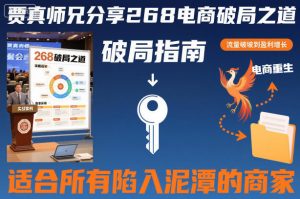 贾真师兄分享268电商破局之道-适合所有陷入泥潭的商家-虚拟资源库