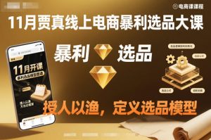 11月贾真线上电商暴利选品大课，授人以渔，定义选品模型-虚拟资源库
