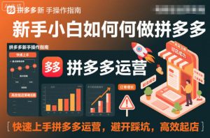 新手小白如何做拼多多,快速上手拼多多运营,避开踩坑,高效起店-虚拟资源库