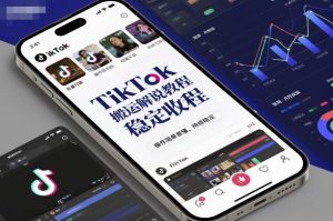TikTok搬运解说教程,稳定收益,操作简单易懂,批量可做,持续稳定-虚拟资源库