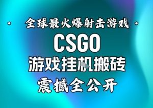 【年底大揭秘】基于全球最火爆的射击CSGO游戏挂G搬砖,日入5张+,震撼公开-虚拟资源库