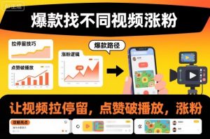 爆款找不同视频涨粉，让视频拉停留，实现点赞，破播放，涨粉-虚拟资源库