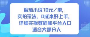 番茄小说10米每单,实拍玩法,0成本好上手,详细实操教程和平台入口适合大部分人-虚拟资源库