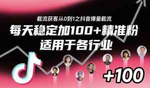 截流获客从0到1之抖音爆量截流,每天稳定加100+精准粉,适用于各行业-虚拟资源库