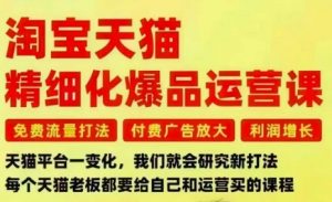 淘宝天猫精细化爆品运营课,免费流量打法-付费广告放大-利润增长-三大核心痛点,一次全部解决-虚拟资源库
