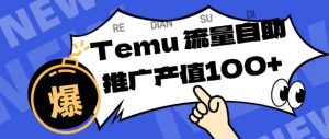 专注于Temu商家提供精准曝光浏览量,助力店铺排名提升和转化,单机日收入80-130【揭秘】-虚拟资源库