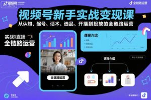 视频号新手实战变现课,从认知、起号、话术、选品、开播到投放的全链路运营-虚拟资源库