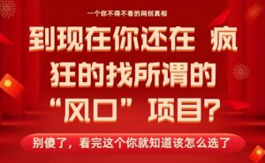 马上26年了,你还在找所谓的风口项目?别傻了,看完这个你全都懂了!【揭秘】-虚拟资源库