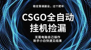 【稳定副业】全球最热门游戏CSGO全自动捡漏，最新玩法，新手小白日入5张+【揭秘】-虚拟资源库