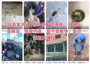 抖音某大V万物科普解说课程,可进抖音精选,独家内容,超干货教学,助你涨粉又賺钱-虚拟资源库