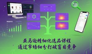 亚马逊精细化选品课程,通过市场细分打破盲目竞争-虚拟资源库