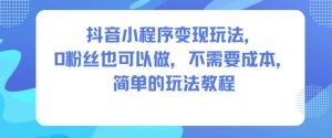 抖音小程序变现玩法,0粉丝也可以做,不需要成本,简单的玩法教程-虚拟资源库