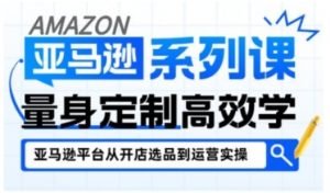 亚马逊新手开店从入门到精通,全面覆盖亚马逊开店各阶段要点,助新手从入门到精通-虚拟资源库