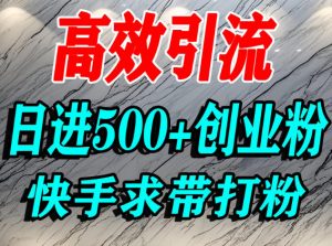 怎么打创业粉?快手求带视角精准引流创业粉,宝妈、学生群体日进500+精准流量-虚拟资源库