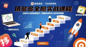 拼多多全阶实战课程,从新手小白到运营高手,海量实战玩法+全年实时更新【2025年10月更新】-虚拟资源库