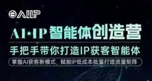 AI·IP智能体创造营,手把手带你打造IP获客智能体,高成交创始人IP课-淘宝虚拟货源网