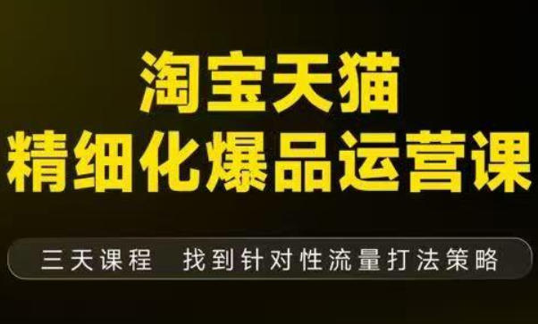 淘宝天猫精细化爆品运营(9月12-14杭州线下课),全方位拆解爆品打造逻辑【音频+字幕+文档】-第一资源库
