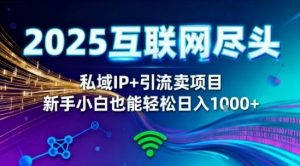 2025网创尽头王炸项目!私域IP+精准引流,新手小白在家躺賺日入1k,零经验也能上手【揭秘】-虚拟资源库
