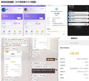 当天能收益的3个小项目拆解_包括平台+操作流程-虚拟资源库