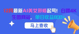 12月最新AI美女邪修起号！白嫖4K生图网站，单日收益8张+-淘宝虚拟货源网