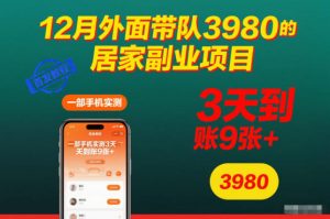 12月外面带队3980的居家副业项目,一部手机实测3天到账9张+,首发教程【揭秘】-淘宝虚拟货源网