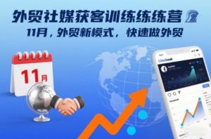 外贸社媒获客训练营11月，外贸新模式，快速做外贸-虚拟资源库