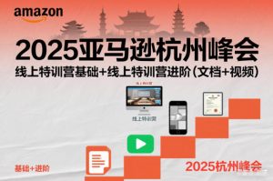 2025亚马逊杭州峰会,线上特训营基础+线上特训营进阶(文档+视频)-淘宝虚拟货源网