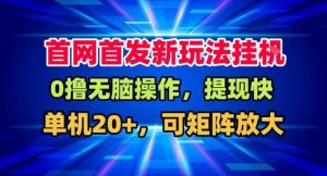 全网首发挂G，盒子自动賺米，单机20+，可矩阵放大，长期稳定运营【揭秘】-第一资源库