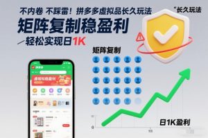 不内卷不踩雷!拼多多虚拟品长久玩法,矩阵复制稳盈利,轻松实现日1K【揭秘】-淘宝虚拟货源网