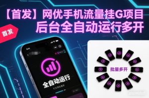 【首发】网优手机流量挂G项目,后台全自动运行,可无限批量多开【揭秘】-虚拟资源库