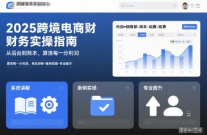 2025跨境电商财务实操指南,从后台到账本,算清每一分利润,系统讲解-案例实操-专业提升-淘宝虚拟货源网