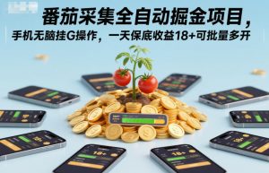 番茄采集全自动掘金项目,手机无脑挂G操作,一天保底收益18+可批量多开【揭秘】-淘宝虚拟货源网