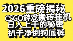 2026开年重磅解密,CSGO游戏搬砖挂G日入1k+的秘密,把倒狗的底裤扒干【揭秘】-淘宝虚拟货源网