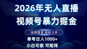 2026最新视频号无人直播掘金,全网首发,小白可以玩,长期稳定日入1k+【揭秘】-淘宝虚拟货源网