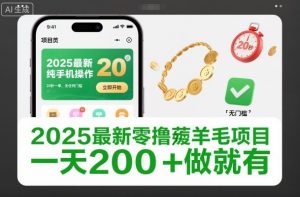 2025最新零撸薅羊毛项目，纯手机操作，20秒一单，无任何门槛，一天200+做就有【揭秘】-虚拟资源库