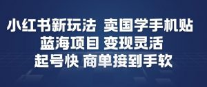 小红书新玩法，卖国学手机贴，蓝海项目，变现灵活，起号快，商单接到手软-淘宝虚拟货源网