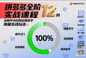 拼多多全阶实战课程12月,从新手小白到运营高手,海量实战玩法-第一资源库