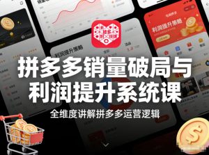 拼多多销量破局与利润提升系统课,全维度讲解拼多多运营逻辑-淘宝虚拟货源网