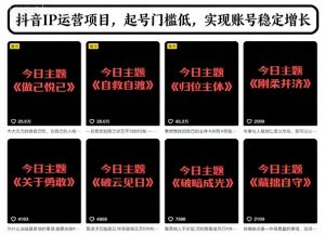 抖音IP运营项目,抖音今日主题玩法,起号门槛低,实现账号稳定增长-淘宝虚拟货源网